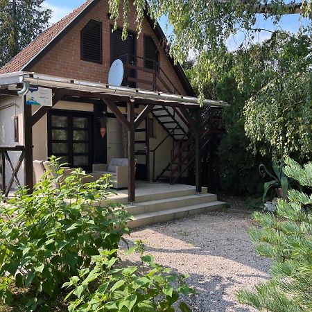 Aranypart Vendeghaz - Tiszakecske Villa Dış mekan fotoğraf