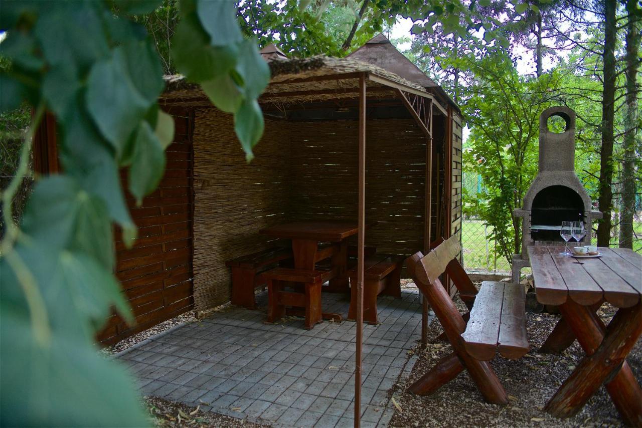 Aranypart Vendeghaz - Tiszakecske Villa Dış mekan fotoğraf